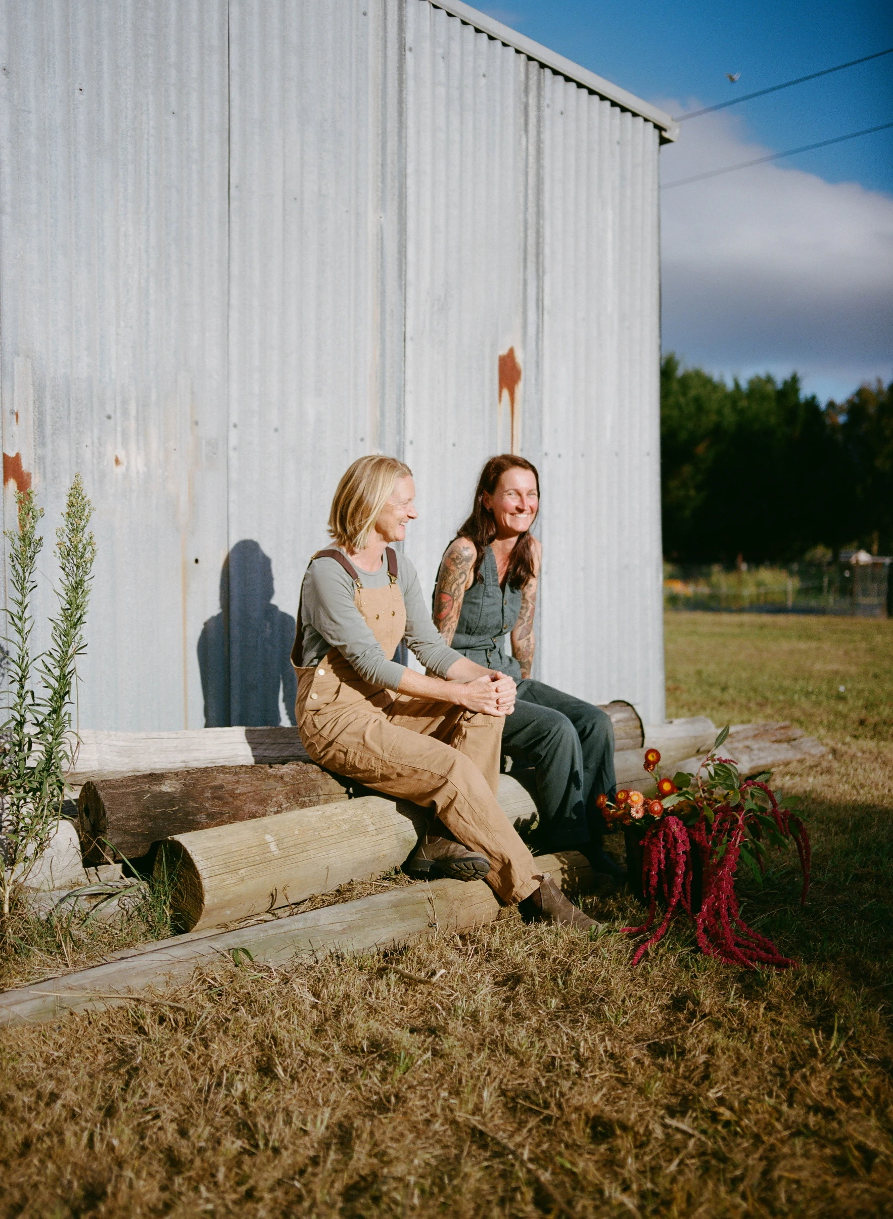 About Forge Creek & Co