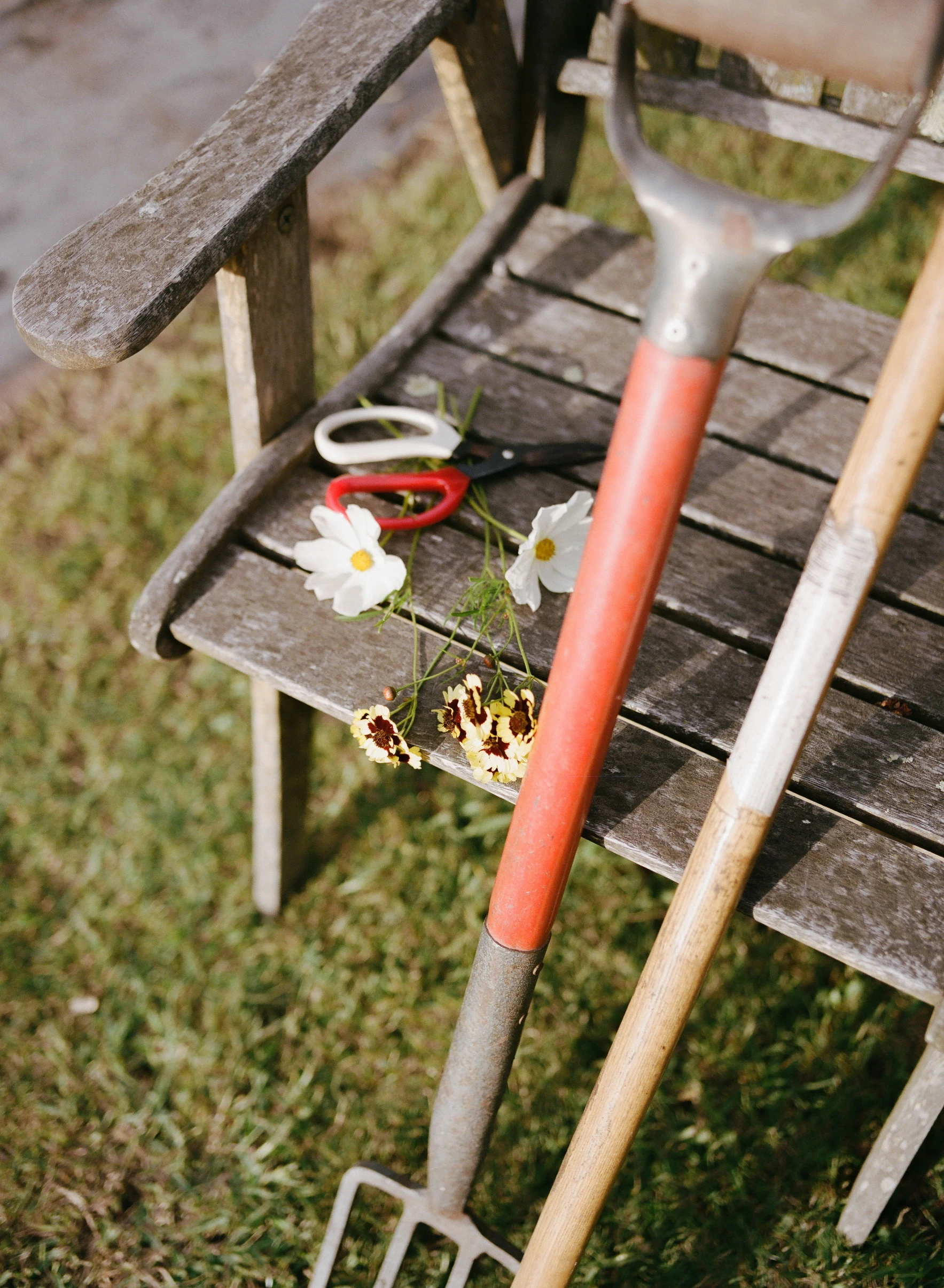 About Forge Creek & Co